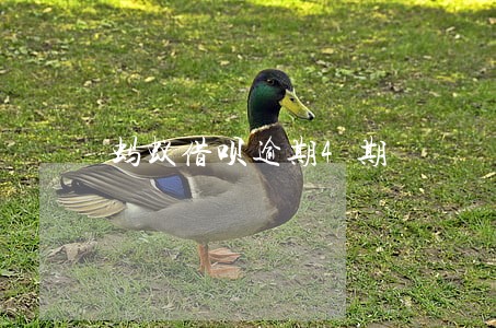 蚂蚁借呗逾期4期 蚂蚁借呗逾期4期