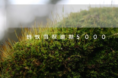 蚂蚁借呗逾期5000 蚂蚁借呗逾期5000