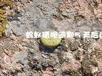 蚂蚁借呗逾期5天后还了 蚂蚁借呗逾期5天后还了