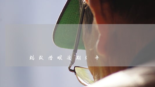 蚂蚁借呗逾期5年 蚂蚁借呗逾期5年