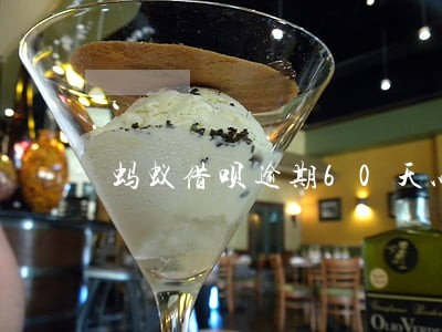 蚂蚁借呗逾期60天以上 蚂蚁借呗逾期60天以上
