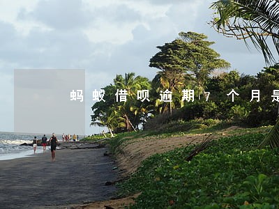 蚂蚁借呗逾期7个月是黑户吗 蚂蚁借呗逾期7个月是黑户吗
