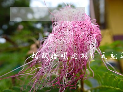 蚂蚁借呗逾期7天就还上 蚂蚁借呗逾期7天就还上
