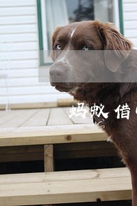 蚂蚁借呗逾期7天有什么 蚂蚁借呗逾期7天有什么