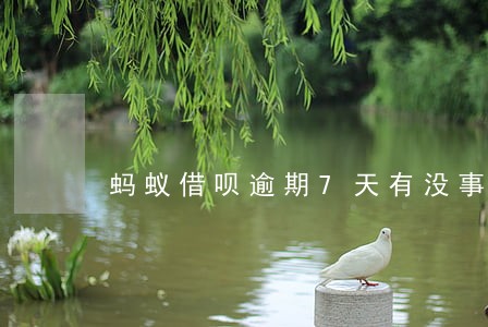 蚂蚁借呗逾期7天有没事 蚂蚁借呗逾期7天有没事
