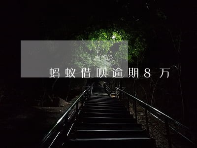 蚂蚁借呗逾期8万 蚂蚁借呗逾期8万