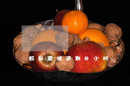 蚂蚁借呗逾期8小时 蚂蚁借呗逾期8小时