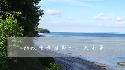 蚂蚁借呗逾期90天后果 蚂蚁借呗逾期90天后果