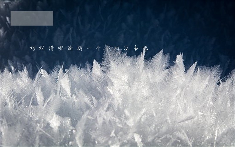 蚂蚁借呗逾期一个小时没事吧 蚂蚁借呗逾期一个小时没事吧