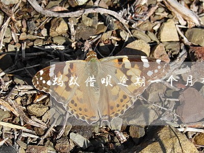 蚂蚁借呗逾期一个月有什么影响 蚂蚁借呗逾期一个月有什么影响