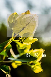 蚂蚁借呗逾期一个月还款吗 蚂蚁借呗逾期一个月还款吗
