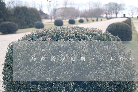 蚂蚁借呗逾期一天上征信的吗 蚂蚁借呗逾期一天上征信的吗