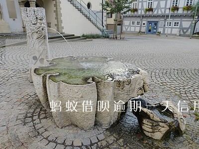 蚂蚁借呗逾期一天信用没有下降 蚂蚁借呗逾期一天信用没有下降