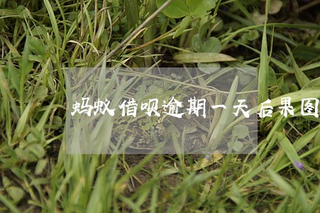 蚂蚁借呗逾期一天后果图片 蚂蚁借呗逾期一天后果图片