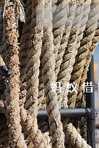 蚂蚁借呗逾期一天多久才能再用 蚂蚁借呗逾期一天多久才能再用