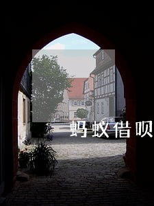 蚂蚁借呗逾期一天就上征信 蚂蚁借呗逾期一天就上征信