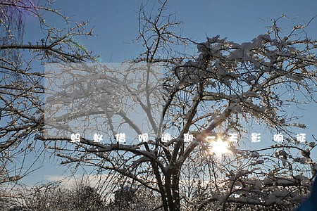 蚂蚁借呗逾期一天影响征信吗 蚂蚁借呗逾期一天影响征信吗