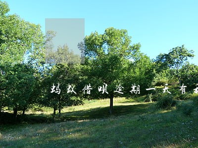 蚂蚁借呗逾期一天有利息吗 蚂蚁借呗逾期一天有利息吗