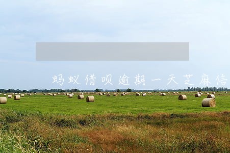 蚂蚁借呗逾期一天芝麻信用 蚂蚁借呗逾期一天芝麻信用