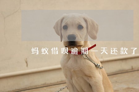 蚂蚁借呗逾期一天还款了 蚂蚁借呗逾期一天还款了