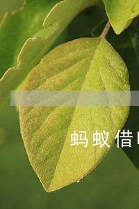 蚂蚁借呗逾期一天还能借钱吗 蚂蚁借呗逾期一天还能借钱吗