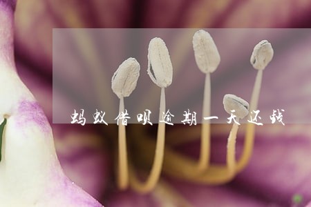 蚂蚁借呗逾期一天还钱 蚂蚁借呗逾期一天还钱
