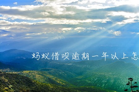 蚂蚁借呗逾期一年以上怎么办 蚂蚁借呗逾期一年以上怎么办
