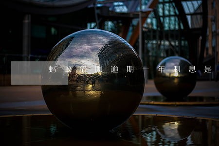 蚂蚁借呗逾期一年利息是多少 蚂蚁借呗逾期一年利息是多少