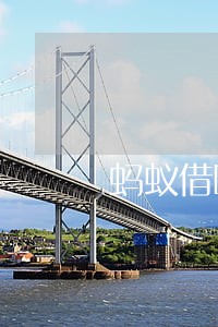 蚂蚁借呗逾期一年回原籍走访 蚂蚁借呗逾期一年回原籍走访