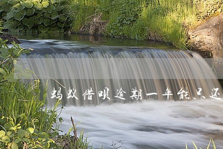 蚂蚁借呗逾期一年能只还本金吗 蚂蚁借呗逾期一年能只还本金吗