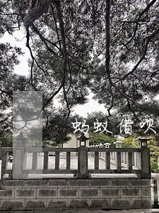 蚂蚁借呗逾期一般是多少天 蚂蚁借呗逾期一般是多少天