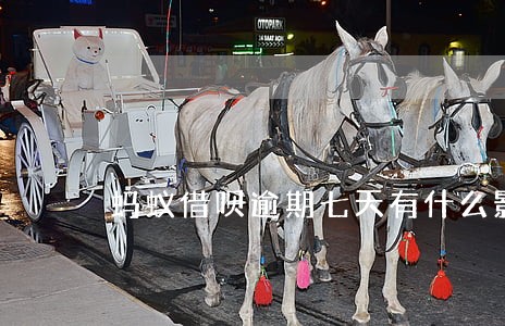 蚂蚁借呗逾期七天有什么影响 蚂蚁借呗逾期七天有什么影响