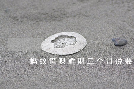 蚂蚁借呗逾期三个月说要全额还款 蚂蚁借呗逾期三个月说要全额还款