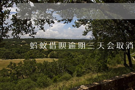 蚂蚁借呗逾期三天会取消额度吗