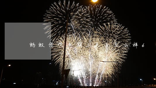 蚂蚁借呗逾期三天会怎么样6