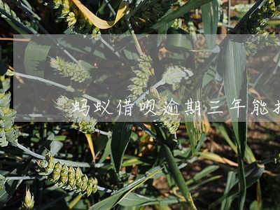 蚂蚁借呗逾期三年能把罚息减免吗 蚂蚁借呗逾期三年能把罚息减免吗