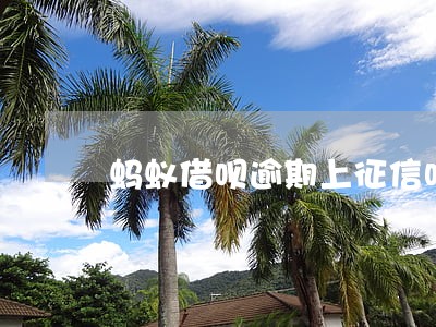 蚂蚁借呗逾期上征信吗百度贴吧