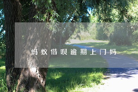 蚂蚁借呗逾期上门妈 蚂蚁借呗逾期上门妈