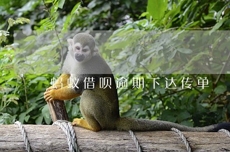 蚂蚁借呗逾期下达传单 蚂蚁借呗逾期下达传单