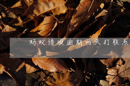 蚂蚁借呗逾期两天打联系人么
