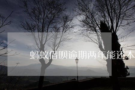 蚂蚁借呗逾期两年能还本金 蚂蚁借呗逾期两年能还本金