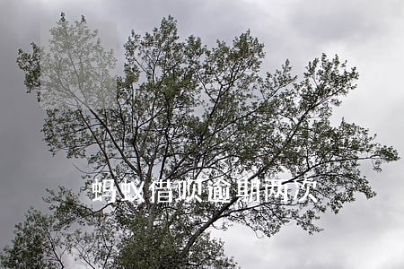 蚂蚁借呗逾期两次 蚂蚁借呗逾期两次