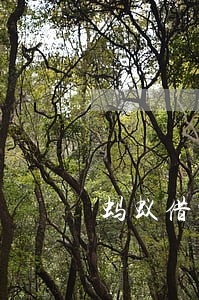 蚂蚁借呗逾期了九个月 蚂蚁借呗逾期了九个月