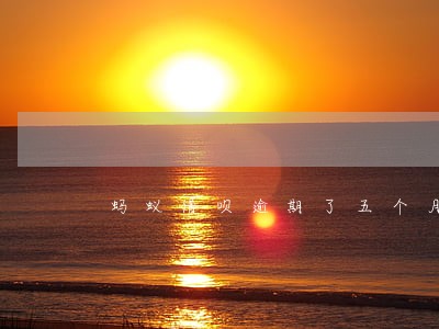 蚂蚁借呗逾期了五个月会怎么样 蚂蚁借呗逾期了五个月会怎么样