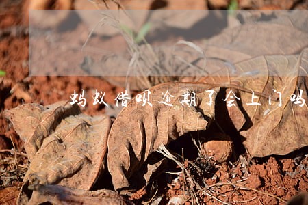 蚂蚁借呗逾期了会上门吗