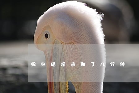 蚂蚁借呗逾期了几分钟 蚂蚁借呗逾期了几分钟