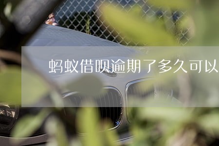 蚂蚁借呗逾期了多久可以用 蚂蚁借呗逾期了多久可以用