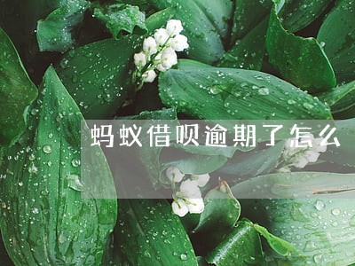 蚂蚁借呗逾期了怎么 蚂蚁借呗逾期了怎么
