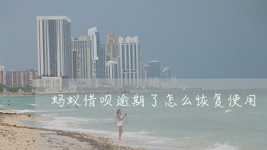 蚂蚁借呗逾期了怎么恢复使用
