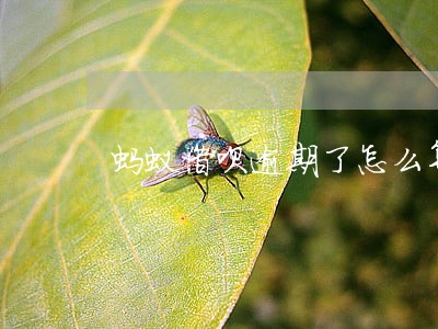 蚂蚁借呗逾期了怎么算利息 蚂蚁借呗逾期了怎么算利息